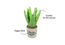 Load image into Gallery viewer, P.L.A.Y Blooming Buddies Aloe-ve You Plant
