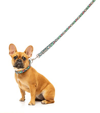 Load image into Gallery viewer, “Fuzzyard Dinosaur Land Dog Collar - Durable, Comfortable, and Stylish”
