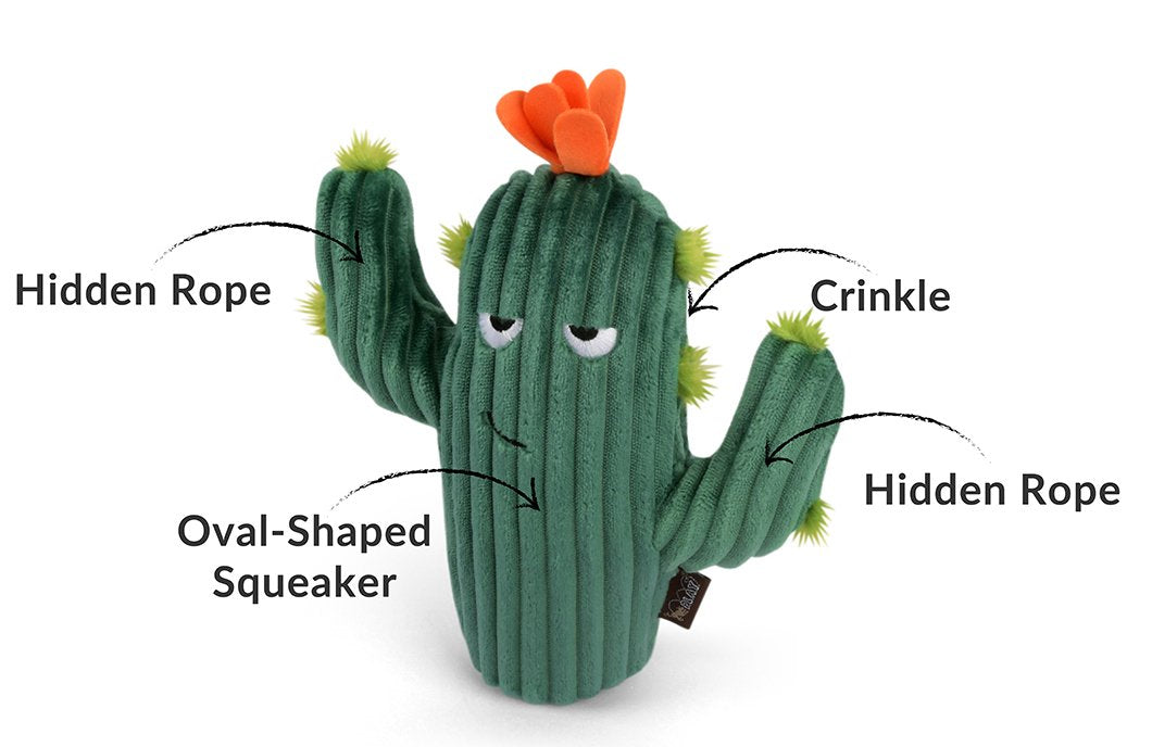 P.L.A.Y Blooming Buddies Prickly Pup Cactus