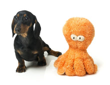 Load image into Gallery viewer, Fuzzyard Sir Legs-A-Lot Octupus Dog Toy
