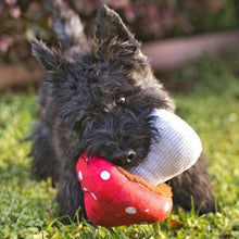 Load image into Gallery viewer, P.L.A.Y Blooming Buddies Mutt Mushroom
