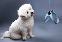 Load image into Gallery viewer, Tre Ponti Easy Fit Liberta Light Blue Harness with No Escape Adjustable Closure
