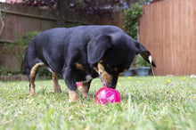 Load image into Gallery viewer, Rosewood Biosafe Puppy Treat Ball - Pink
