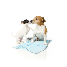 Load image into Gallery viewer, “Fuzzyard Microfibre Drying Towel For Puppies - Blue with Grey Trim”
