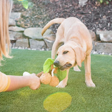 Load image into Gallery viewer, “P.L.A.Y Tropical Paradise Puppy Palm”
