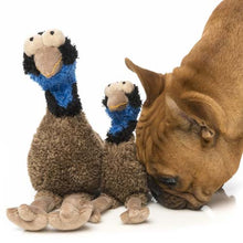 Load image into Gallery viewer, Fuzzyard Oz The Emu Dog Toy
