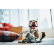 Load image into Gallery viewer, P.L.A.Y Elephant Plush Dog Toy
