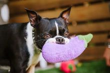 Load image into Gallery viewer, P.L.A.Y Aubergine Vegetable Plush Dog Toy
