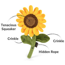 Load image into Gallery viewer, P.L.A.Y Blooming Buddies Sassy Sunflower
