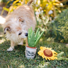 Load image into Gallery viewer, P.L.A.Y Blooming Buddies Aloe-ve You Plant
