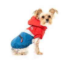 Load image into Gallery viewer, Fuzzyard The Seattle Raincoat - Red &amp; Blue
