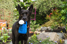 Load image into Gallery viewer, P.L.A.Y Blooming Buddies Wagging Watering Can
