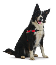 Load image into Gallery viewer, Tre Ponti Forza Anti-Pull Harness Red
