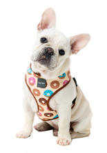 Load image into Gallery viewer, Fuzzyard Go Nuts Dog Harness
