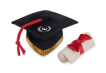 Load image into Gallery viewer, P.L.A.Y Back To School K9 Scholar Hat &amp; Diploma Plush Dog Toy
