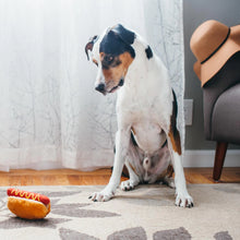 Load image into Gallery viewer, P.L.A.Y Hot Dog Plush Dog Toy
