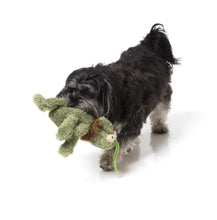 Load image into Gallery viewer, Fuzzyard Scratchy The Green Flea Dog Toy
