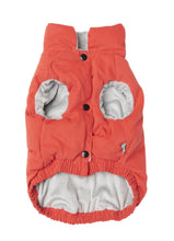 Load image into Gallery viewer, “Ashbury Red Puffer Jacket: Retro Vintage Style for Your Pup”
