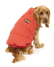 “Ashbury Red Puffer Jacket: Retro Vintage Style for Your Pup”