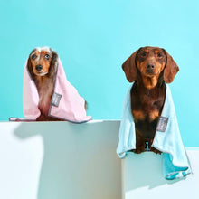 Load image into Gallery viewer, “Fuzzyard Microfibre Drying Towel For Puppies - Blue with Grey Trim”
