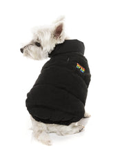 Load image into Gallery viewer, “Ashbury Black Puffer Jacket: Retro Vintage Style for Your Pup”
