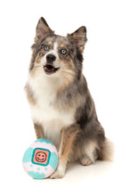 Load image into Gallery viewer, “Fuzzyard Tamadochi Retro Dog Toy”
