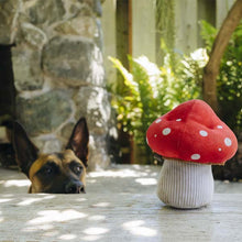 Load image into Gallery viewer, P.L.A.Y Blooming Buddies Mutt Mushroom
