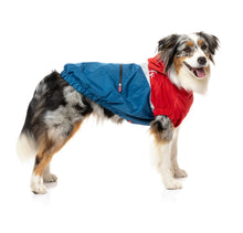 Load image into Gallery viewer, Fuzzyard The Seattle Raincoat - Red &amp; Blue
