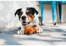 Load image into Gallery viewer, P.L.A.Y Fried Chicken Plush Dog Toy
