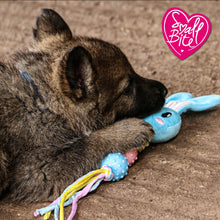 Load image into Gallery viewer, &quot;Ancol Small Bite Bunny Teether Puppy Toy&quot;
