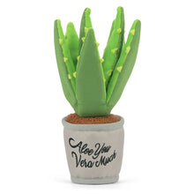 Load image into Gallery viewer, P.L.A.Y Blooming Buddies Aloe-ve You Plant
