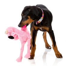 Load image into Gallery viewer, “Fuzzyard Flo The Flamingo Dog Toy”
